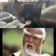 Pai Mei