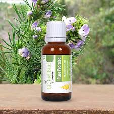 Image result for Psoralea