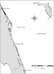 Über 7 millionen englischsprachige bücher. Map Of Study Area Study Area On The Central East Coast Of Florida The Download Scientific Diagram