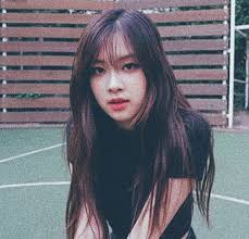 Aesthetic Black And Pink Roses Blackpink Aesthetic Blackpink Rose Aesthetictumblr Rose Rose Blackpink Blackpink Rose Rose Icon Blackpink