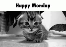 Share the best gifs now >>> Best Happy Monday Gif To Share Glucklicher Montag Happy Day Zitate Happy Weekend Bilder