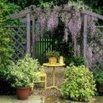 We did not find results for: Woodland Garden Design How To Plant A Woodland Garden