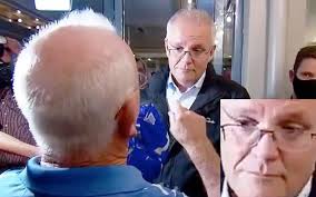 Nation's Old Codgers Begin Fantasising About What They'd Say To That Fucken  Goose If He Walked In Here — The Betoota Advocate