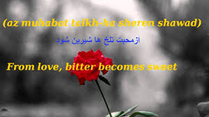 Dari The Language Of Rumi Verses From A Rumi Love Poem Love Poems Rumi Love Verses