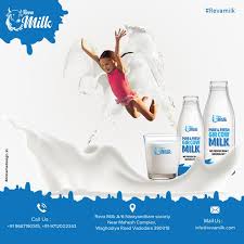 drink a2 milk with 50 more protein calcium free home delivery in vadodara to buy reva a2 milk call us at 91 9712002343 milk packaging cow ghee milk cow