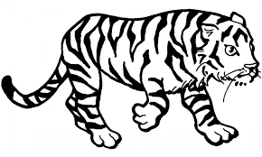 Dibujos De Tigres Para Colorear
