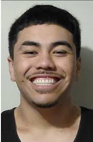 North Shore, Rodney & West Auckland Police