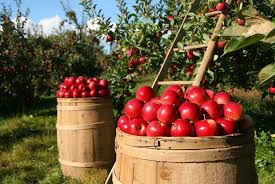 Echinoctiu de toamna 2018 reprezinta debutul toamnei din punct de vedere astronomic. EchinocÈ›iul De ToamnÄƒ 2018 TradiÈ›ii È™i SuperstiÈ›ii Cancan