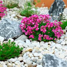 Pavers are used to define this garden bed filled with colorful flowers and tall grasses. Pros And Cons Of Rock Flower Beds Family Handyman