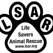 New beginnings animal rescue merced. New Beginnings For Merced County Animals Home Facebook