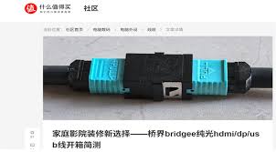 bridgee，The Power of Connection