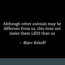 Below you will find our collection of inspirational, wise, and humorous old animal rights quotes, animal rights sayings, and animal rights proverbs, collected over the years from a variety of sources. Quote By Marc Bekoff Although Other Animals May Be Different From Us