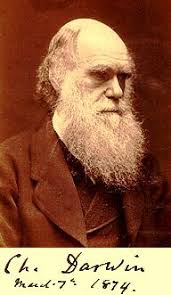 Evolution -- Abiogenesis -- Origin of Life