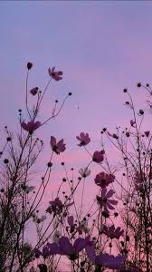 Photography Flowers Peace 60 Ideas Tumblr Flower Flowers Photography Nature Photography