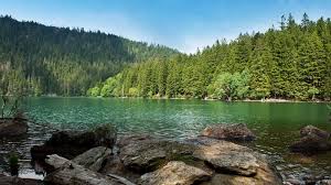 Czech Republic Sumava In The Summer National Parks Czech Republic Lake