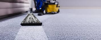 Carpet cleaning serving northern virginia since 1988. New World Cleaning Service Housekeeping Handyman Painting Carpet Cleaning Construction Debris Clean Out Fairfax County Cleaning Company Maid Services Janitorial Northern Virginia