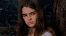 Tv and film actress brooke shields was the most controversial (slutty) hence the reason the pretty baby is a wash up. Pretty Baby Brooke Shields Gif Prettybabybrookeshields Discover Share Gifs