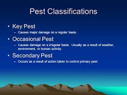 Insects are a large proportion of storage pests with each type of crop having specific insects that gravitate towards them such as the genus tribolium that consists of insects such. Pest Management Pesticide Safety Education Program Msu Extension Ppt Download