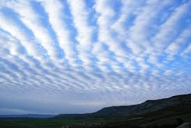Il pleuvait des cordes, j'esquivait la foudre. Cielo A Pecorelle Acqua A Catinelle Portale