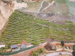 What to eat in subang jaya's ss15: The 10 Best Cafes In Subang Jaya Tripadvisor