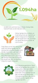 1.094ha - là diện tích canh tác hữu cơ được chứng nhận VietGAP hiện có trên  địa bàn Tỉnh - Báo Quảng Ninh điện tử
