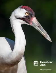 Specializing in architecture, interior design, master planning and sustainable design & consulting, kirksey has rapidly expanded in the national. Houston Zoo 2019 Annual Report By Houston Zoo Issuu