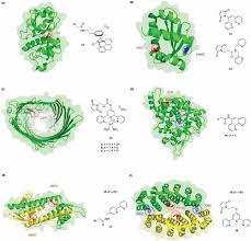 2,063 followers · government organization. Artificial Enzymes For Diels Alder Reactions Ghattas 2021 Chembiochem Wiley Online Library
