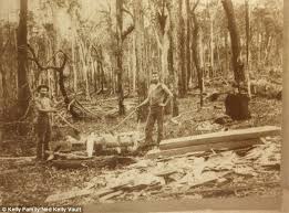 Wood engraving published in the illustrated australian news. Ned Kelly Shown In His Teen Years Before He Became Australia S Most Notorious Bushranger Daily Mail Online