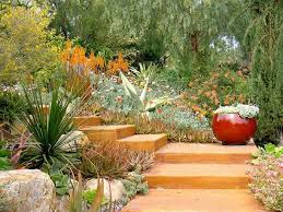 From Nan Sterman Book Hot Color Dry Garden In 2020 Dry Garden California Garden Design Waterwise Garden