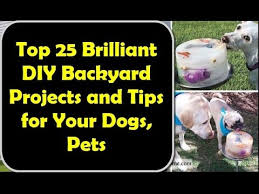 Everyone wants to be surround of comfortable and cozy space, which reflects our essence. Top 25 Brilliant Diy Backyard Projects Tips For Your Pets Dogs Youtube