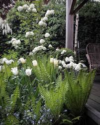 pin van melissa van der linden op gardening tuin tuin architectuur witte bloemen