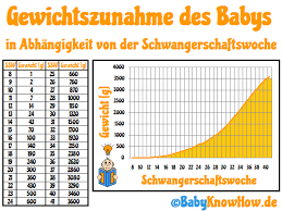 Sollte das gewicht oder die größe eures babys von den hier angegebenen durchschnittsgrößen abweichen, ist das kein grund zur. Gewichtskurve Schwangerschaft Wie Viel Man Wirklich Zunimmt