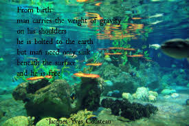 Quotations by jacques yves cousteau to instantly empower you with world and life: Jacques Yves Cousteau Quotes Brainyquote Ocean Park Ocean Park Hong Kong Ocean