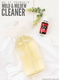 mold and mildew using essential oils