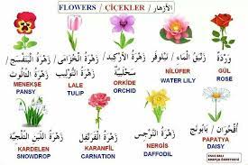 Flowers In Farsi Learn Persian Learn Farsi Persian Language