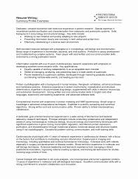 Easy Ways To Write Your Resume Summary Statement Resume Profile Resume Profile Examples Resume Summary
