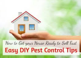 I ran to bell and. Bell Howell Ultrasonic Pest Repeller Review Pest Repeller Center