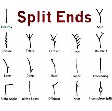 Split ends almost always come from a preventable cause. How To Prevent Split Ends Hair2possible