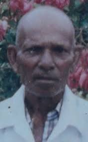 Africanized bees kill farmer