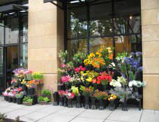 Stephanie at flowers on broadway made the entire process of wedding flower ordering very stress free. Send Flowers Portland Oregon Portland Florist Since 1938 Gifford S Flowers Two Downtown Shops