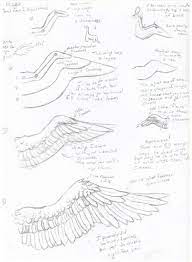 How To Draw Wings Wings Drawing Wings Art Angel Wings Drawing