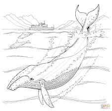 Humpback Whale Super Coloring Whale Coloring Pages Animal Coloring Pages Humpback Whale