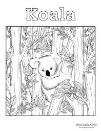 A koala is sitting on strong branches. Pin On Coloring Pages