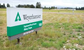 Resultado de imagen para Weyerhaeuser
