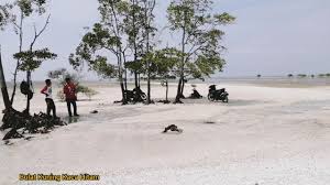 Sabak bernam mempunyai banyak daya tarikan untuk diterokai dengan sejarah menarik, tarikan semasa dan masa depan yang mengujakan. Pantai Siput Bumi Hijau Sabak Bernam Youtube