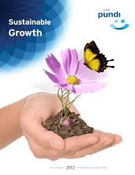 Annual Report 2012