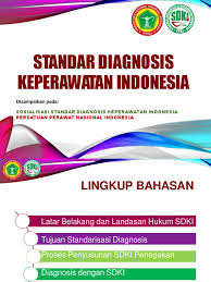 Buku standar luaran keperawatan indonesia definisi dan kriteria hasil keperawatan tersedia dalam bentuk digital yang dibuat oleh penyusun, tim pokja slki dpp ppni dan. 6 Standar Diagnosis Keperawatan Indonesia Ppni Pdf