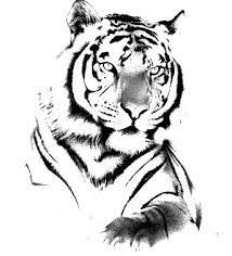 Pin By Dawn Micki Dye On Tattoos I Like Tiger Tattoo Aztec Tattoo White Tiger Tattoo