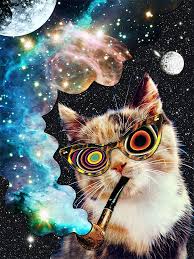 Flickr Cat Art Print Psychedelic Art Cat Art