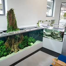 Feeding Time 2000 Liter Plus 5000 Liter Tanks Follow Us On Instagram Aquascaperorg Visit Our Site Www Aquascaper Video Aquarium Fish Aquarium Aquarium Fish Tank